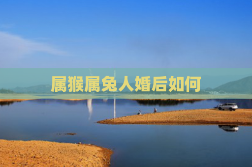 属猴属兔人婚后如何