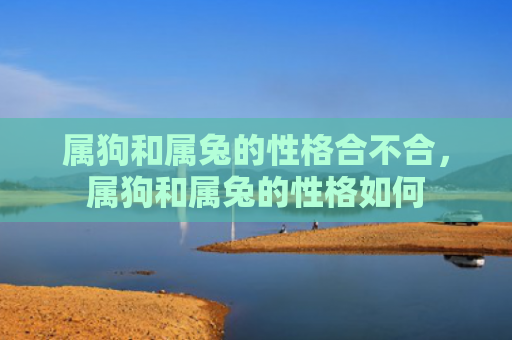 属狗和属兔的性格合不合，属狗和属兔的性格如何