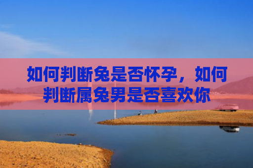 如何判断兔是否怀孕，如何判断属兔男是否喜欢你
