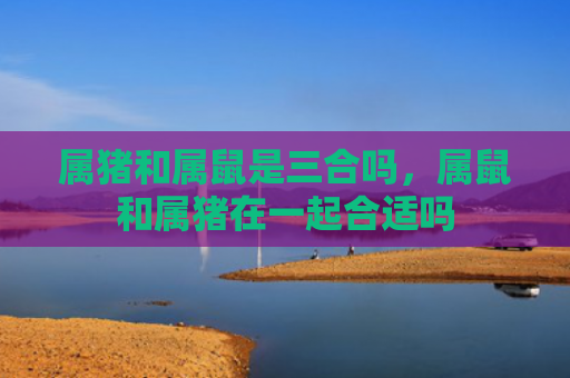 属猪和属鼠是三合吗，属鼠和属猪在一起合适吗