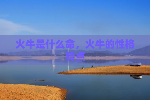火牛是什么命，火牛的性格特点