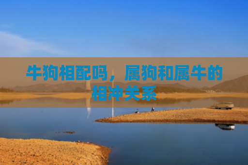 牛狗相配吗，属狗和属牛的相冲关系