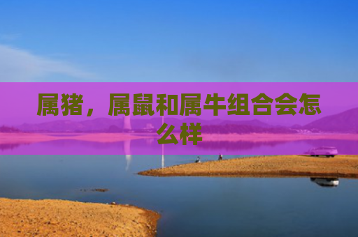 属猪，属鼠和属牛组合会怎么样