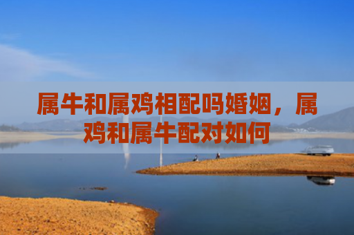 属牛和属鸡相配吗婚姻，属鸡和属牛配对如何