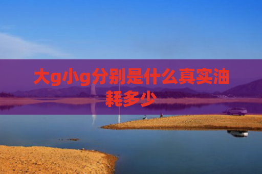 大g小g分别是什么真实油耗多少
