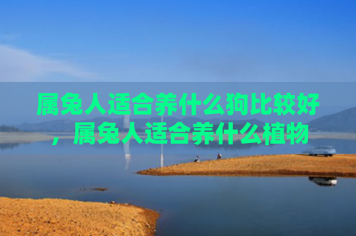 属兔人适合养什么狗比较好，属兔人适合养什么植物