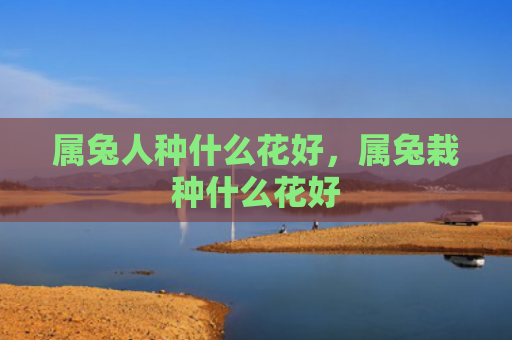 属兔人种什么花好，属兔栽种什么花好