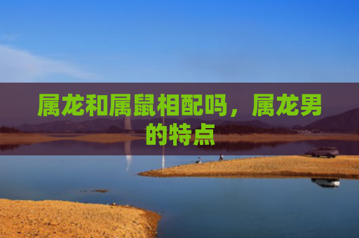 属龙和属鼠相配吗，属龙男的特点
