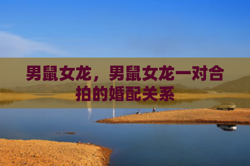 男鼠女龙，男鼠女龙一对合拍的婚配关系