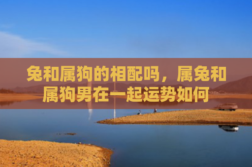 兔和属狗的相配吗，属兔和属狗男在一起运势如何