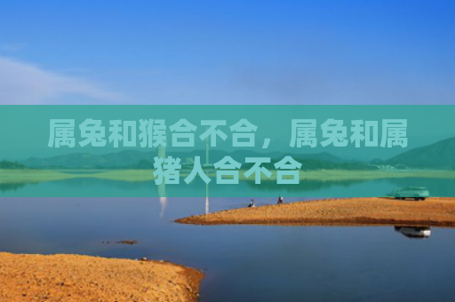 属兔和猴合不合，属兔和属猪人合不合