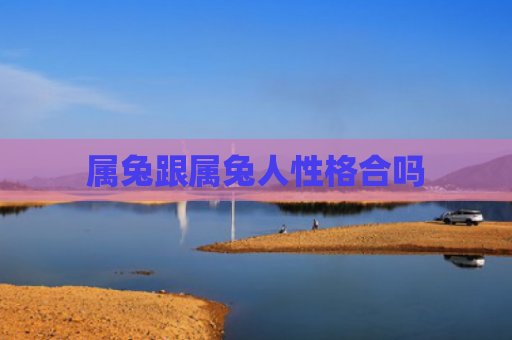 属兔跟属兔人性格合吗