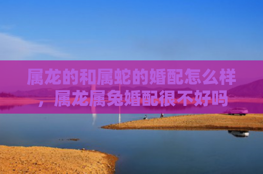 属龙的和属蛇的婚配怎么样，属龙属兔婚配很不好吗