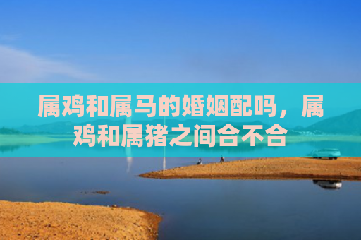 属鸡和属马的婚姻配吗，属鸡和属猪之间合不合