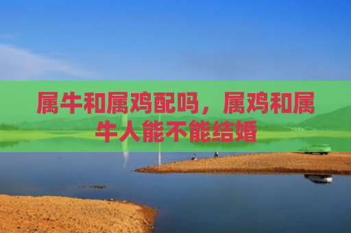 属牛和属鸡配吗，属鸡和属牛人能不能结婚