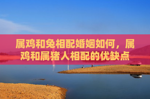 属鸡和兔相配婚姻如何，属鸡和属猪人相配的优缺点