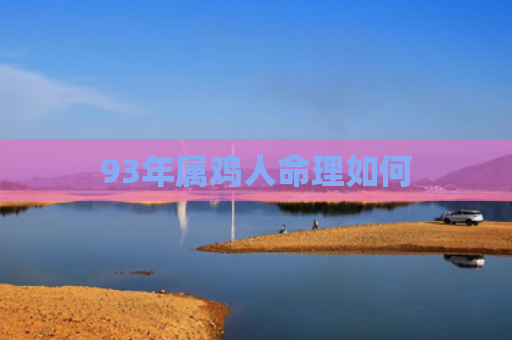 93年属鸡人命理如何