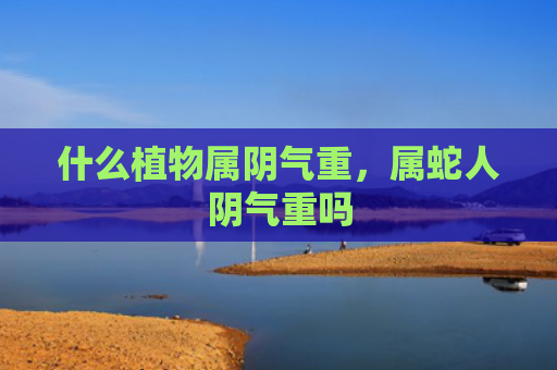 什么植物属阴气重，属蛇人阴气重吗