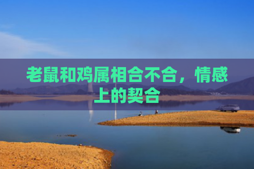 老鼠和鸡属相合不合，情感上的契合