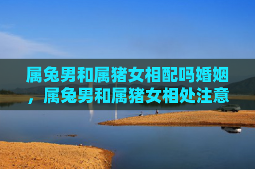 属兔男和属猪女相配吗婚姻，属兔男和属猪女相处注意事项