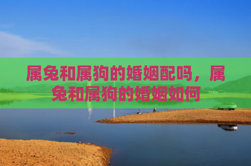 属兔和属狗的婚姻配吗，属兔和属狗的婚姻如何