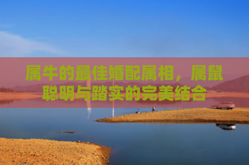 属牛的最佳婚配属相，属鼠聪明与踏实的完美结合