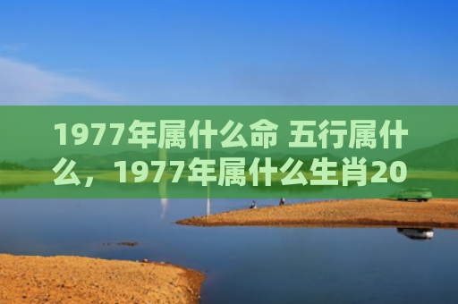 1977年属什么命 五行属什么，1977年属什么生肖2022年多少岁