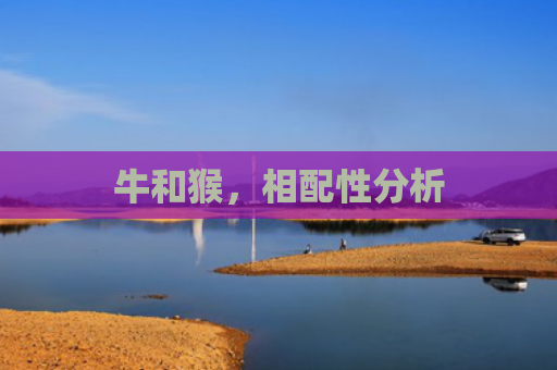 牛和猴，相配性分析
