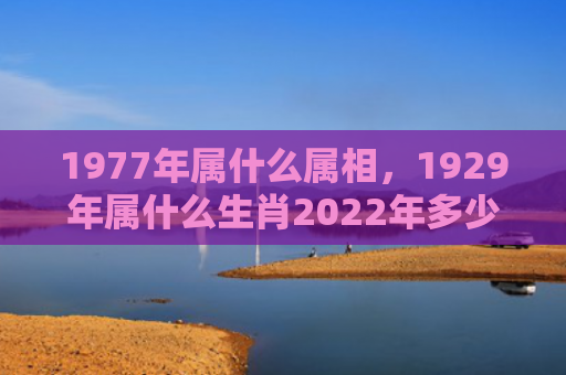 1977年属什么属相，1929年属什么生肖2022年多少岁