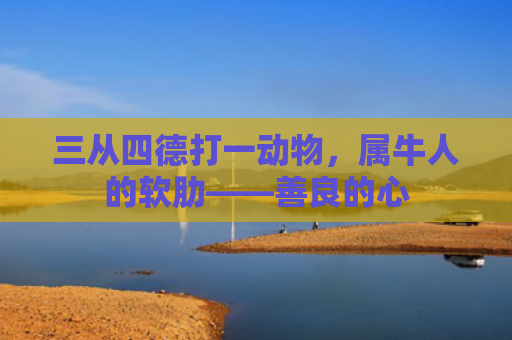 三从四德打一动物，属牛人的软肋——善良的心