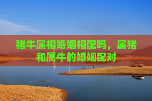 猪牛属相婚姻相配吗，属猪和属牛的婚姻配对