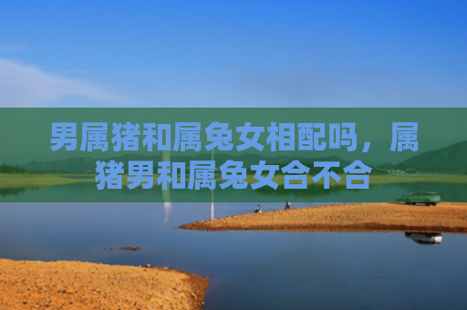 男属猪和属兔女相配吗，属猪男和属兔女合不合