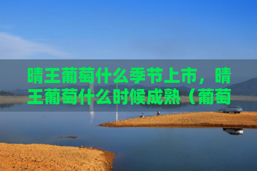 晴王葡萄什么季节上市，晴王葡萄什么时候成熟（葡萄什么时候季节）