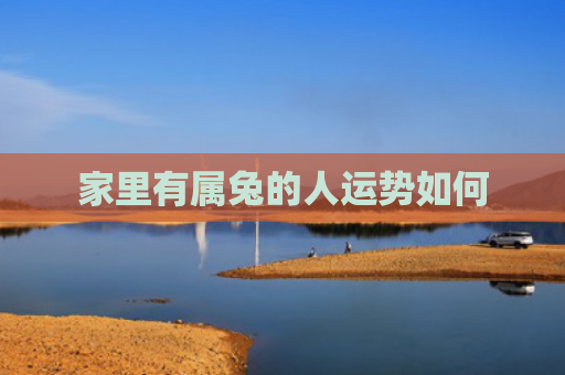 家里有属兔的人运势如何