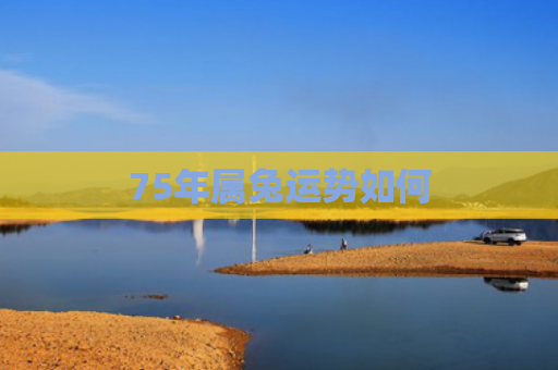 75年属兔运势如何