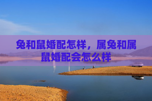 兔和鼠婚配怎样，属兔和属鼠婚配会怎么样