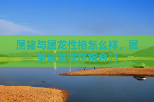属猪与属龙性格怎么样，属兔属龙性格相合吗