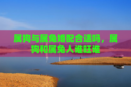 属狗与属兔婚配合适吗，属狗和属兔人谁旺谁