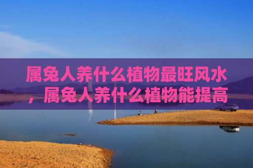 属兔人养什么植物最旺风水，属兔人养什么植物能提高财运