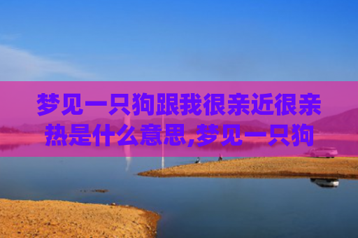 梦见一只狗跟我很亲近很亲热是什么意思,梦见一只狗跟我很亲近很亲热的征兆好不好(梦见被一只狗咬了手一口)