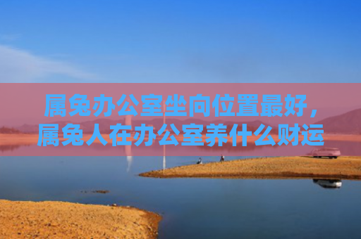 属兔办公室坐向位置最好，属兔人在办公室养什么财运好