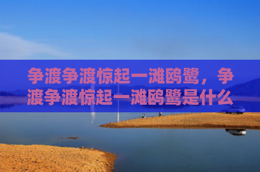 争渡争渡惊起一滩鸥鹭，争渡争渡惊起一滩鸥鹭是什么修辞（惊起是什么修辞）