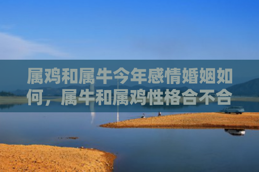 属鸡和属牛今年感情婚姻如何，属牛和属鸡性格合不合