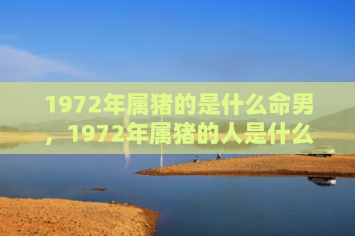 1972年属猪的是什么命男，1972年属猪的人是什么命