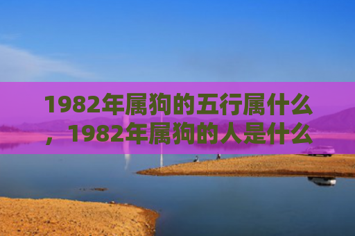 1982年属狗的五行属什么，1982年属狗的人是什么命