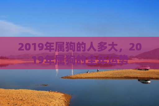 2019年属狗的人多大，2019年属狗的全年运势