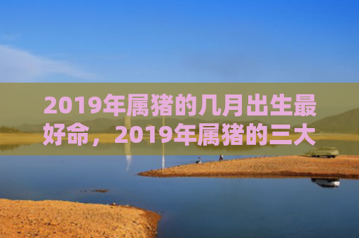 2019年属猪的几月出生最好命，2019年属猪的三大劫难