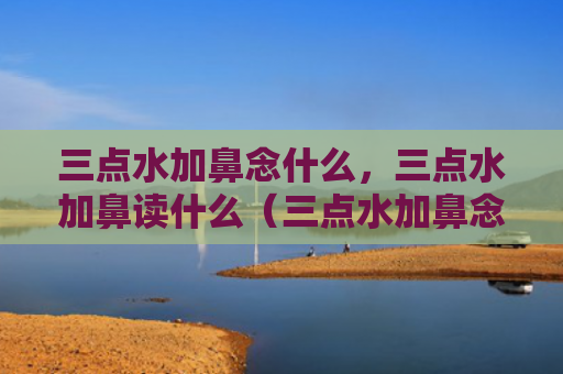 三点水加鼻念什么，三点水加鼻读什么（三点水加鼻念加鼻读）