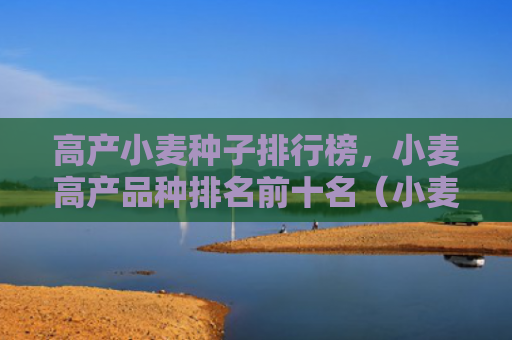 高产小麦种子排行榜，小麦高产品种排名前十名（小麦高产前十名）