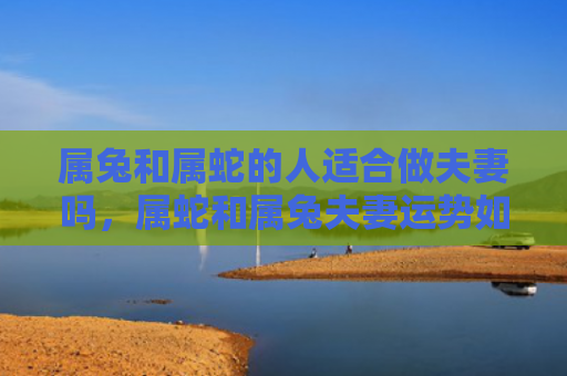 属兔和属蛇的人适合做夫妻吗，属蛇和属兔夫妻运势如何